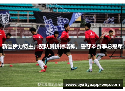 新疆伊力特主帅赞队员拼搏精神，誓夺本赛季总冠军
