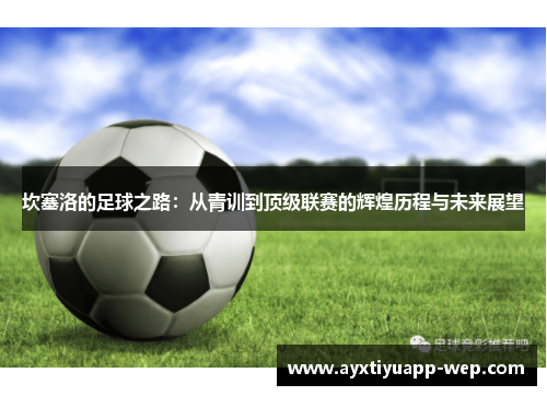 坎塞洛的足球之路：从青训到顶级联赛的辉煌历程与未来展望