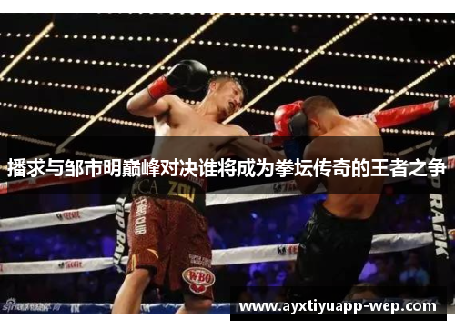 播求与邹市明巅峰对决谁将成为拳坛传奇的王者之争