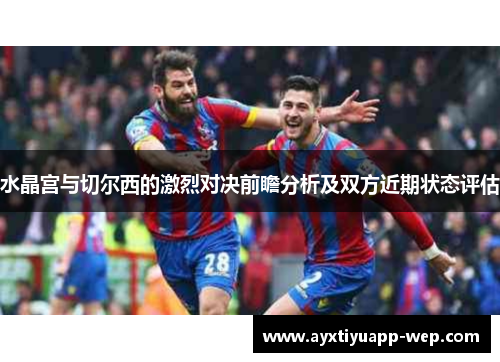 水晶宫与切尔西的激烈对决前瞻分析及双方近期状态评估